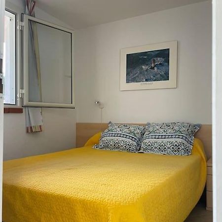 Appart. / Clim / Piscine / Mer A 300M Apartment Linguizzetta Exterior photo